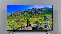OLED-TV-Test 2025