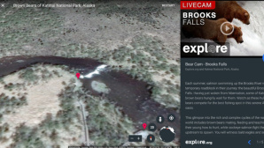 Google Earth Live-Videos © Google