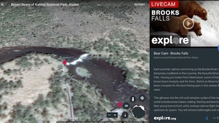 Google Earth Live-Videos