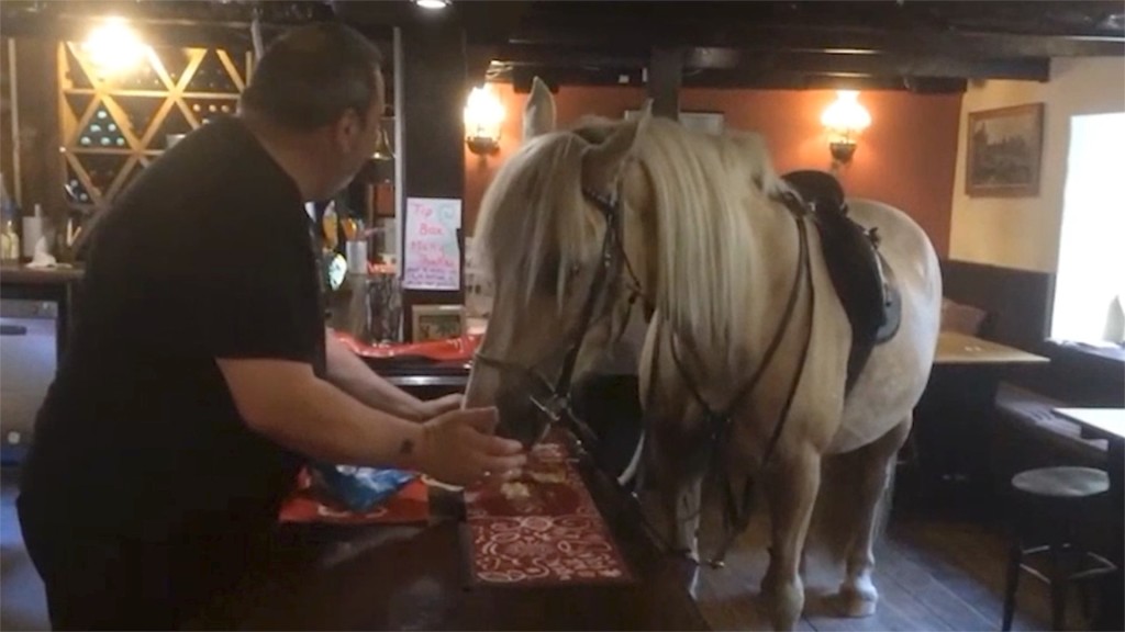 Kommt Ein Pferd In Die Bar Witz information online