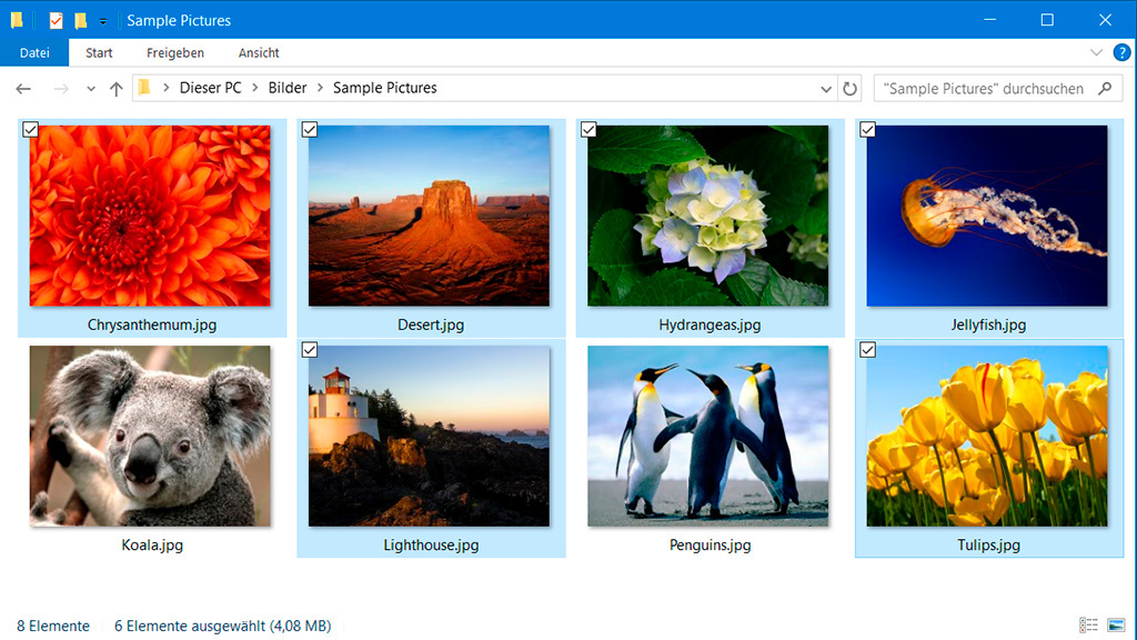 COMPUTER BILD