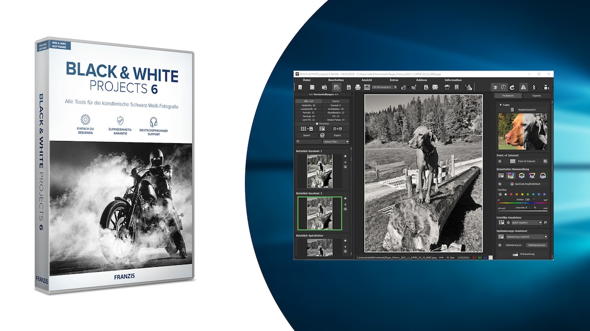 Black & White Projects 5 – Kostenlose Vollversion Black & White Projects 5 – Kostenlose Vollversion