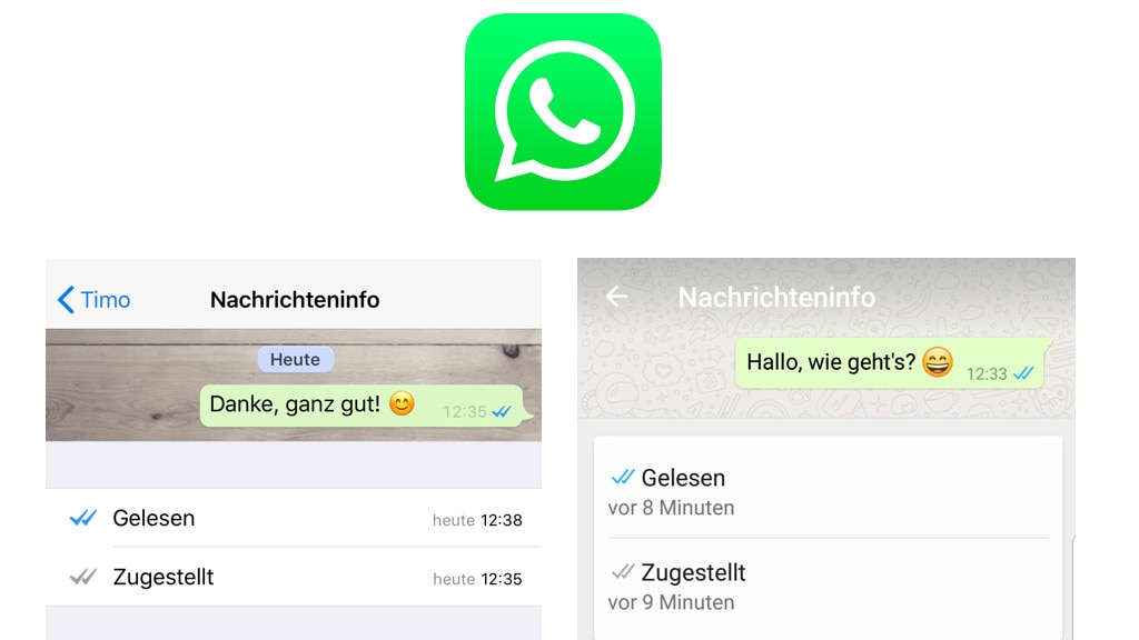 WhatsApp: Das bedeuten die blauen Häkchen