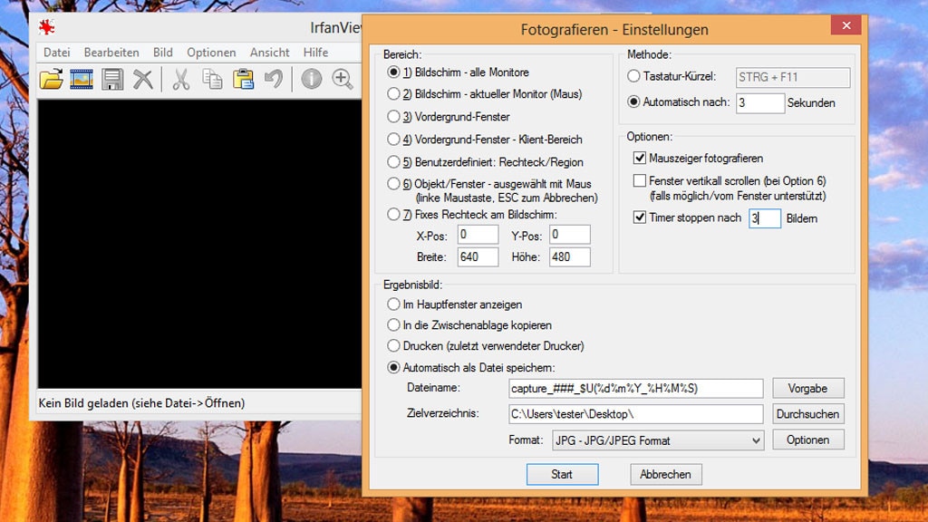 IrfanView: Screenshots in Masse erstellen