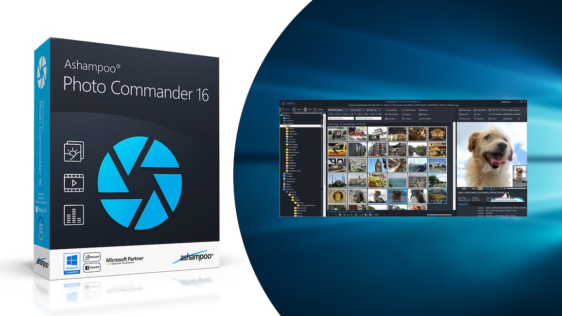 Ashampoo Photo Commander 15 – Kostenlose Vollversion: Bildbestand verwalten