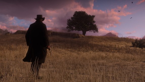 Red Dead Redemption 2: Fundorte aller Traumfänger