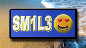 Abgefahren: Hier gibt es Emoji-Nummernschilder!