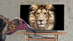 Loewe: 2020 will der TV-Hersteller wieder durchstarten!