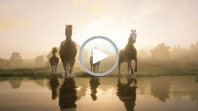 Red Dead Redemption 2: Trailer zur PC-Version