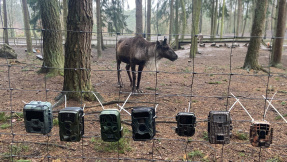 Diese Wildkameras geben Durchblick im Garten