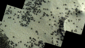 ESA-Weltraumsonde: Zeigen Bilder Spinnen auf dem Mars?