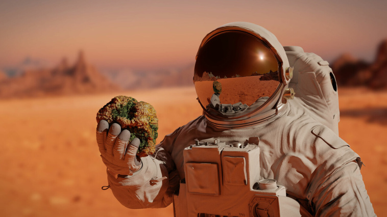 Extrem resistent: Wächst dieses Moos auf dem Mars?