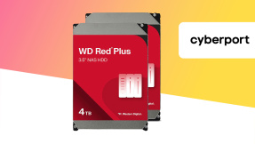 Festplatte von WD (4 TB) im Doppelpack sichern