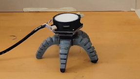 Ein Pilz kann diesen Roboter steuern