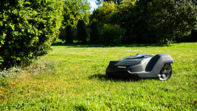 Dürfen Mähroboter bald nachts in dieser Stadt nicht mehr fahren?
