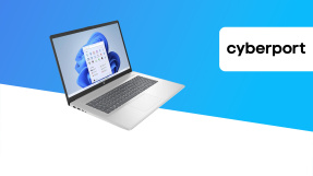 Solider HP-Laptop (17 Zoll) mit deftigem Preisnachlass