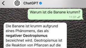 ChatGPT gibt es jetzt auch auf WhatsApp – mit Einschränkungen