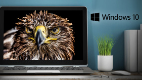 Windows 10: Die schönsten Wallpaper zum Download