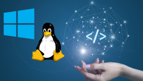 WSL unter Windows nutzen – und Linux-Programme ausführen