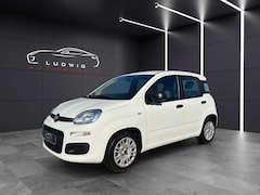 Bild des Angebotes Fiat Panda Base/1HAND/EURO6/52KW/KLIMA/SERVO