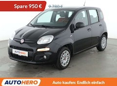 Bild des Angebotes Fiat Panda 1.2 Easy *CAM*KLIMA*GARANTIE*