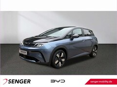 Bild des Angebotes BYD Dolphin Design Panorama 360°-Kamera Keyless LED