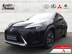 Bild des Angebotes Lexus UX 250h Luxury Line,LED,ACC,NAVI,RFK,SHZ,HUD Leder 360 Kam