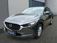 Bild des Angebotes Mazda CX-30 Selection SKYACTIV-G 122 M Hybrid Navi-Kamera CX-