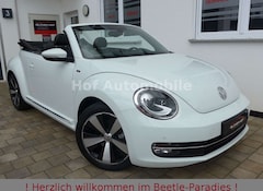 Bild des Angebotes VW Beetle 1.2TSI  Allstar Plus Leder Kamera Xenon