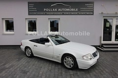 Mercedes-Benz SL 600 *LEDER*V12*SHZ*NAVI*MEMORY*KLIMA*