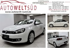 Bild des Angebotes VW Golf Cabriolet 1.4 TSI CUP Climatronic Winterpaket GRA