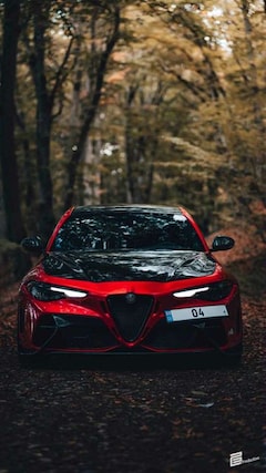 Bild des Angebotes Alfa Romeo Giulia 2.9 V6 Bi-Turbo AT8 Quadrifoglio