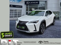 Bild des Angebotes Lexus UX 250h UX 250 h 250h Executive Line zuverlässiger GW