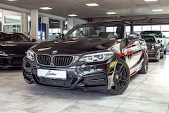 Bild des Angebotes BMW 240 Cabrio Aut.*H&K*CARBON*CAM*DAKOTA*