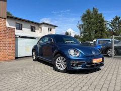 Bild des Angebotes VW Beetle Design -Sitzheizung - Alus - Klimaautom.- Tempomat