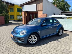 Bild des Angebotes VW Beetle Design -Sitzheizung - Alus - Klimaautom.- Tempomat