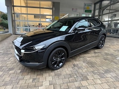 Bild des Angebotes Mazda CX-30 Homura Sky-G 150 Drive Automatik