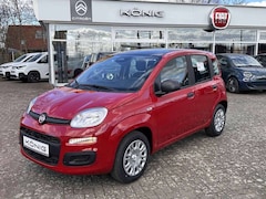Bild des Angebotes Fiat Panda MY25 1.0 Klima PDC Citypaket