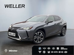 Bild des Angebotes Lexus UX 250h Style Edition *Bi-LED*ACC*CAM*SHZ*CarPlay*