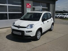Bild des Angebotes Fiat Panda City Life Sommer / Winterräder