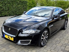 Bild des Angebotes Jaguar XJ XJ50 3.0 V6 Premium Luxury / Portfolio Ausstattung