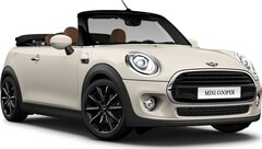 Bild des Angebotes MINI Cooper Cabrio Chili LED. PDC. SH. Leder.