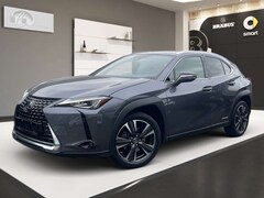 Lexus UX 250h Sitzheizung Lenkradheizung Kamera PDC