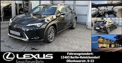 Bild des Angebotes Lexus UX 250h UX250h FWD LUXURY LINE *GHSD*WKR*