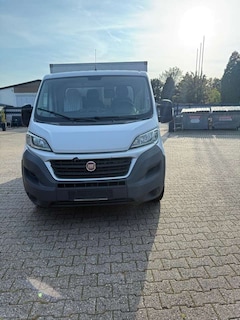 Bild des Angebotes Fiat Ducato Ducato 250 Geschlossene Box/ Kühlwagen/ Tiefkühlwa