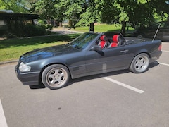 Bild des Angebotes Mercedes-Benz SL 300 300 SL-24