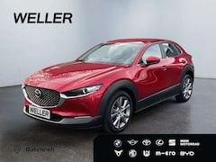 Bild des Angebotes Mazda CX-30 e-SKYACTIV-G 2.0 M HYBR 150 SELECTION *AHK*