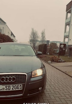 Bild des Angebotes Audi A3 Audi A 3 Whalweise S Line 2.0 Tdi !!!