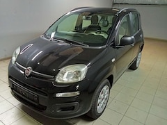 Bild des Angebotes Fiat Panda Panda