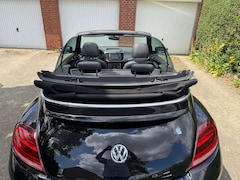 Bild des Angebotes VW Beetle Allstar